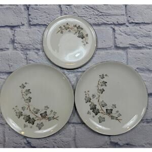 Embassy Vitrified China Springs of Ivy EMB76 Salad Dessert Plates Platinum Trim